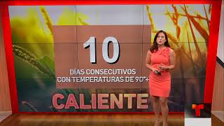 Player Profile Se acercan 10 dias consecutivos con temperaturas de 90 grados