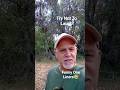 Funny one Liners from The Swamp Joker. 5 clips.