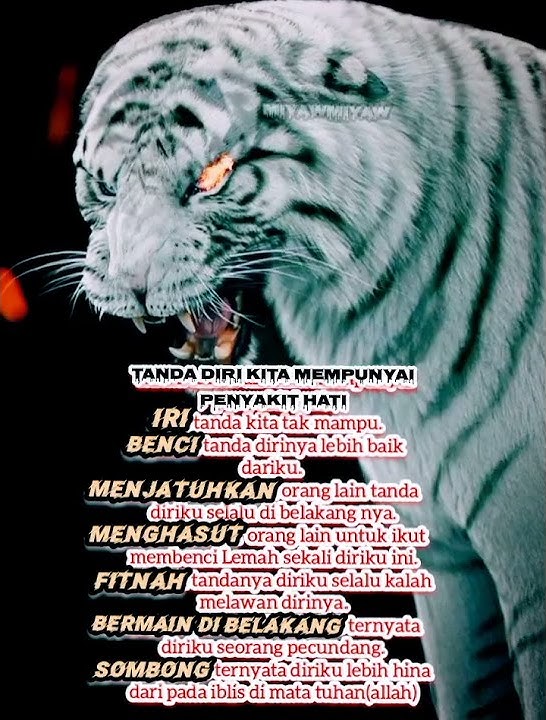 Kata bijak Macan Putih #shorts #nasehat #wejangan #macan #1ksubscribers