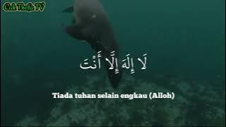 LAILAHA ILLA ANTA _cocok buat pujian sebelum subuh