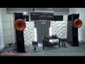 Cessaro horn speakers tron amplifiers tw acustic turntables high end munich