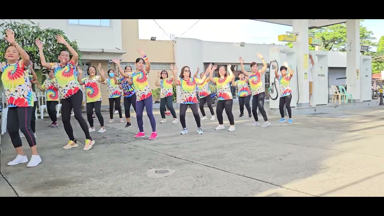 Malasin zumba ladies