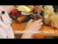 Мишки Тедди/с чего начать/информация для новичков