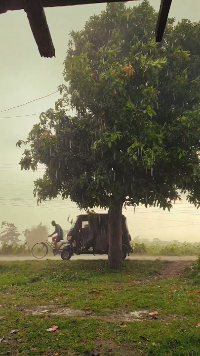 VN editing #nature #trendingshorts #shorts #youtubeshorts #cinematography #rain #shortvideo