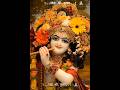 radhe radhe🌸 ll janmashtami status 🙏🏻#radheradhe #radhekrishna #shorts
