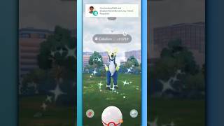 ✨ I got 96iv Shiny Cobalion on Raid Hour ✨ #shorts #pokemon #shiny Wealth