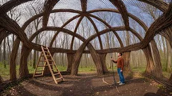 From Sticks to Shelter | Man Builds Forest Hideout from Hazel | @classyoutube9113