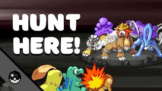 How To Catch Legendary Pokémon In Pokémmo - Top 5 Routes To Look For Suicune, Entei, And Raikou