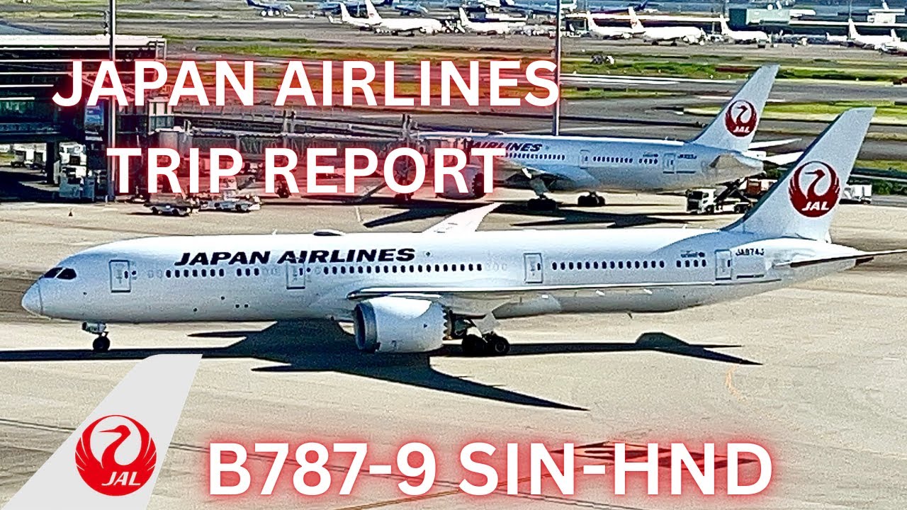 TRIP REPORT | Japan Airlines Boeing 787 | Singapore to Tokyo
