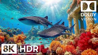 Unseen Ethereal Ocean Creatures in 8K HDR | Dolby Vision™