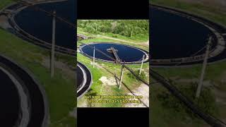 Different application between Sodium hypochlorite and hypochlorous acid. Net Worth