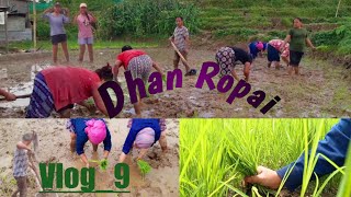 #VLOG_9||Dhan Ropai 2078||spent a productive day||