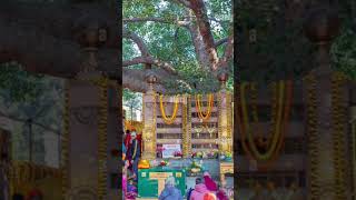 vajrasana( diamond throne) ashoka eastblished in boodh gya