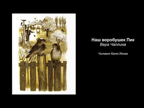 Наш воробушек Пик | Вера Чаплина | Читает Катя Ялова | Аудиокнига