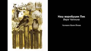 Наш воробушек Пик | Вера Чаплина | Читает Катя Ялова | Аудиокнига