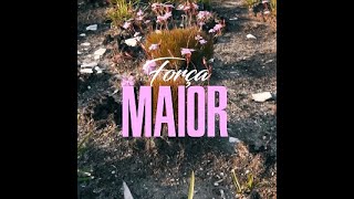 Força Maior
