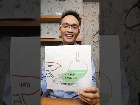 direktur4d x amartoto - 270524 Punya GERD dan/atau Gastritis?