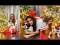 Keerthy suresh Christmas celebrations with her dog Nyke