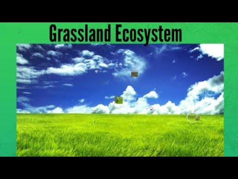 Grassland ecosystem(BSc.III year ,Zoology Paper 2)