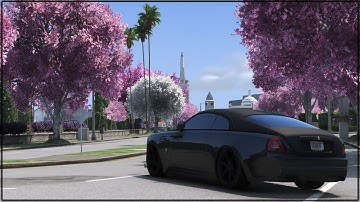 The Best Graphics Mod for GTA 5 RP