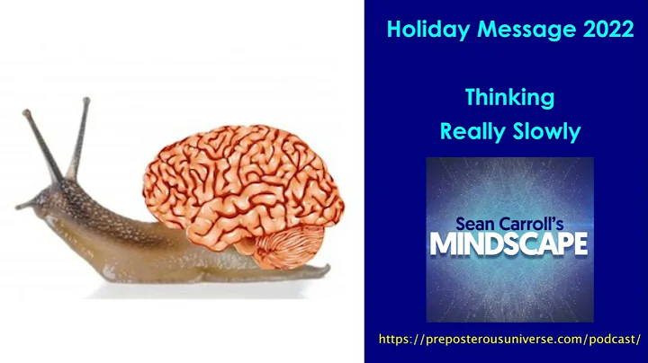 Mindscape Holiday Message 2022 | Thinking Really S...