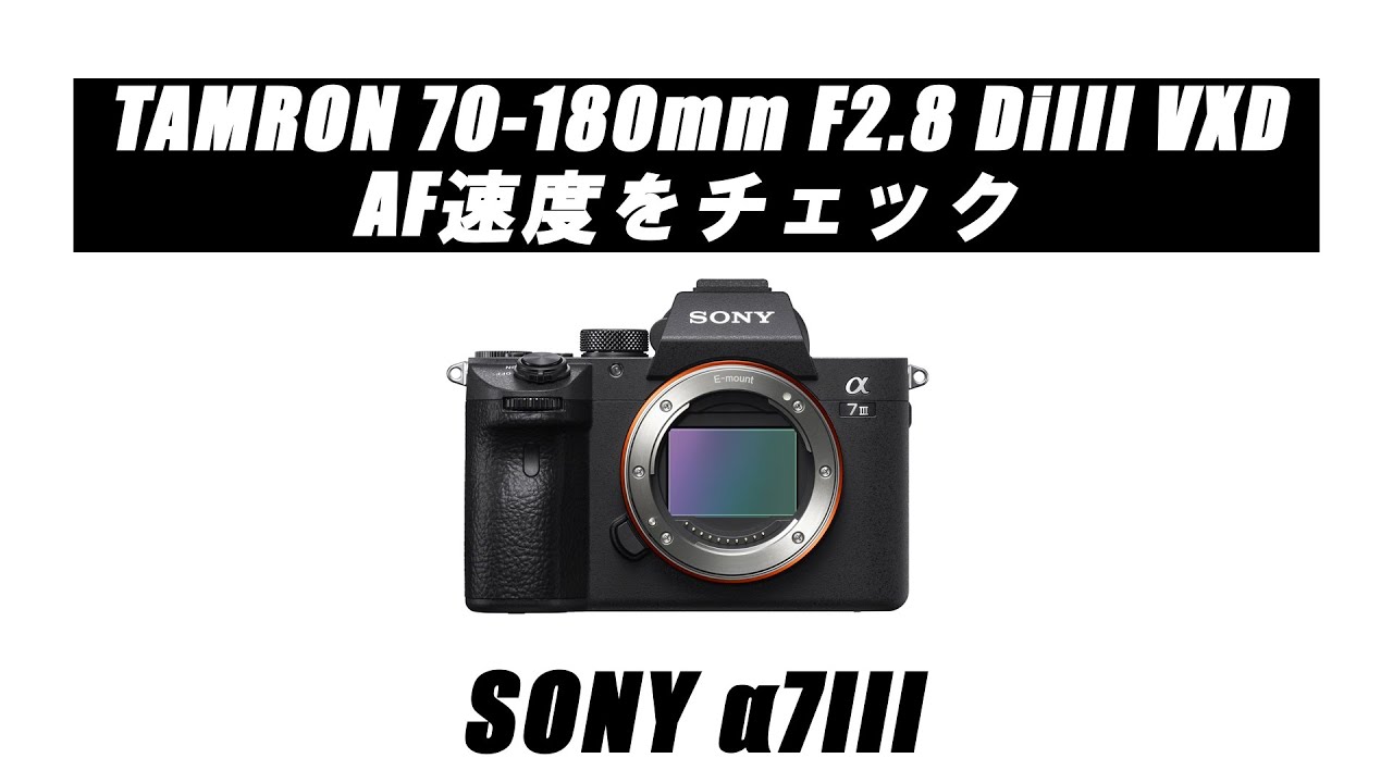 AF速度チェック】TAMRON 70-180mm F2.8 DiIII VXD「SONY α7III編