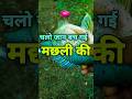 Chalo jaan bacha liya bhai ne|instagram funny comments| #shorts #funny #commentboxindia
