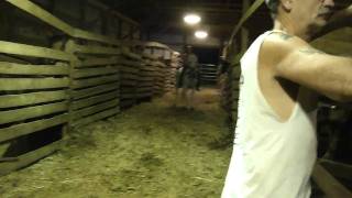 M4H05494.MP4