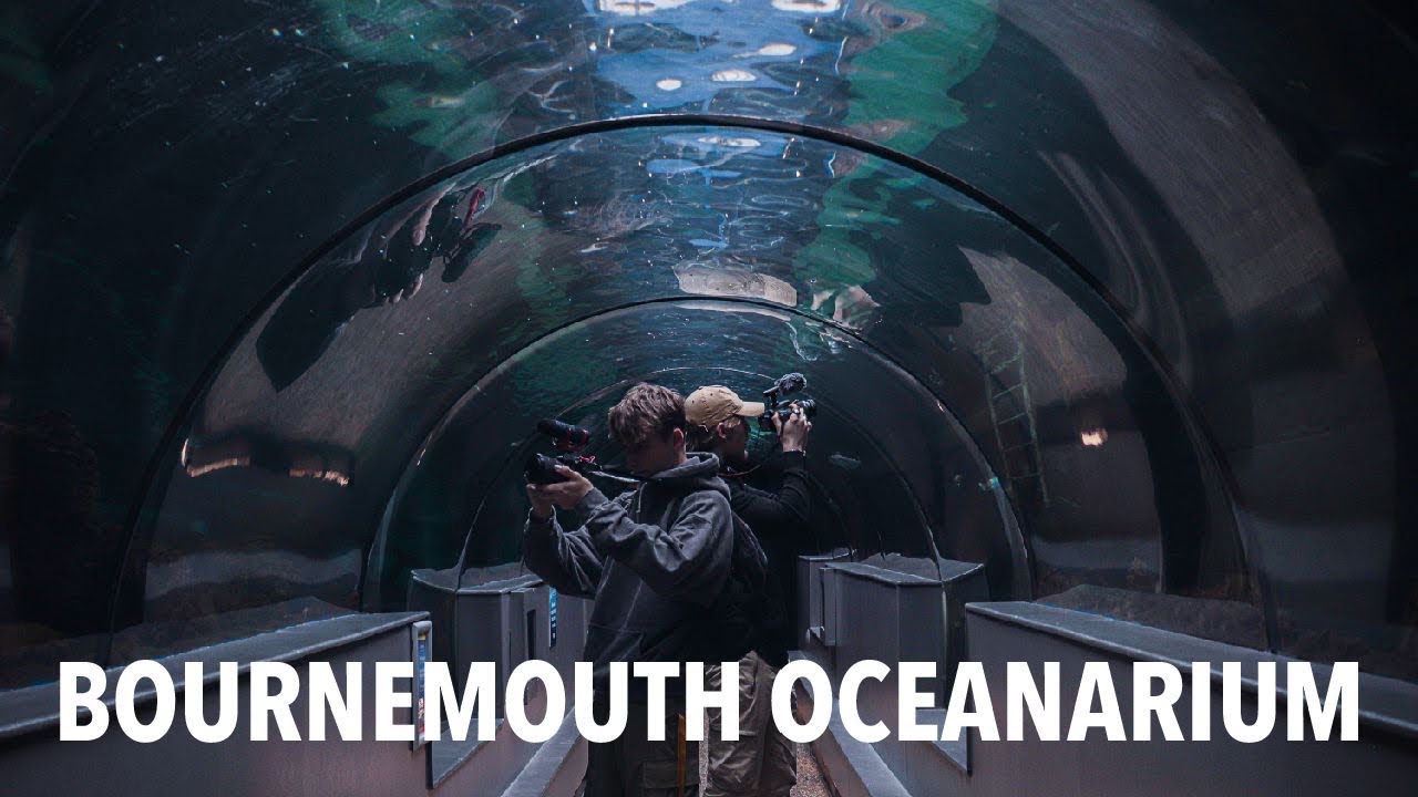 Bournemouth Oceanarium Promo YouTube