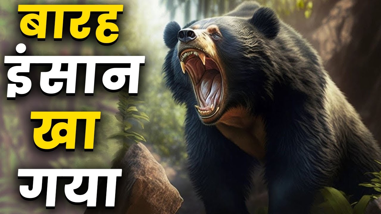 मैसूर का वो आदमखोर भालू !