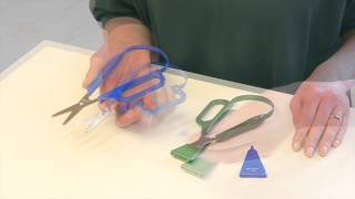 Famous Peta-uk Easi-Grip Scissors 1 Net Worth
