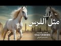 شيلة أقبلت مثل الفرس بقبالها أداء بندر الذرفي 2025 شيلات مدح باسم الجوهره حماسية
