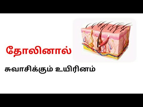 ias-interview-questions-&-answers-in-tamil-(-part-29-)