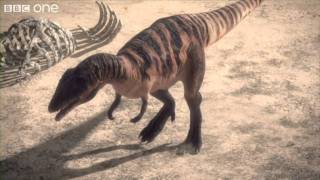 Carcharodontosaurus - Planet Dinosaur - Episode 1 - BBC One