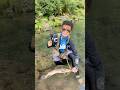 過去動画🤭トップも楽しい😆🎣 #shorts #渓流釣り #渓流ルアー #トップ #サイトフィッシング #釣り女子 #釣りガール #つり #fishing
