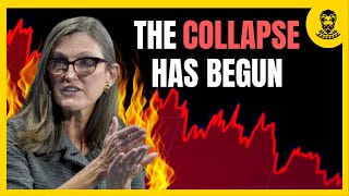 Cathie Wood: EVERYONE'S Lying! A BIGGER Crash Is Coming.