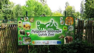 Lutsk Zoo 2017 Ukraine - Зоопарк Луцк
