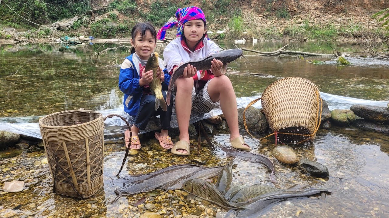 Arrange rocks to create a water barrier to catch fish, then harvest the fish to sell.  