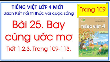 Bài 25. Bay cùng ước mơ Tiếng Việt 4 Tập 1 Kết nối tri thức trang 109
