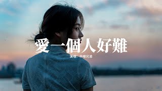 半噸兄弟 - 愛一個人好難『想要把你忘記真的好難，思念的痛在我心裡糾纏，朝朝暮暮的期盼 永遠沒有答案，為何當初你選擇一刀兩斷。』【動態歌詞MV】