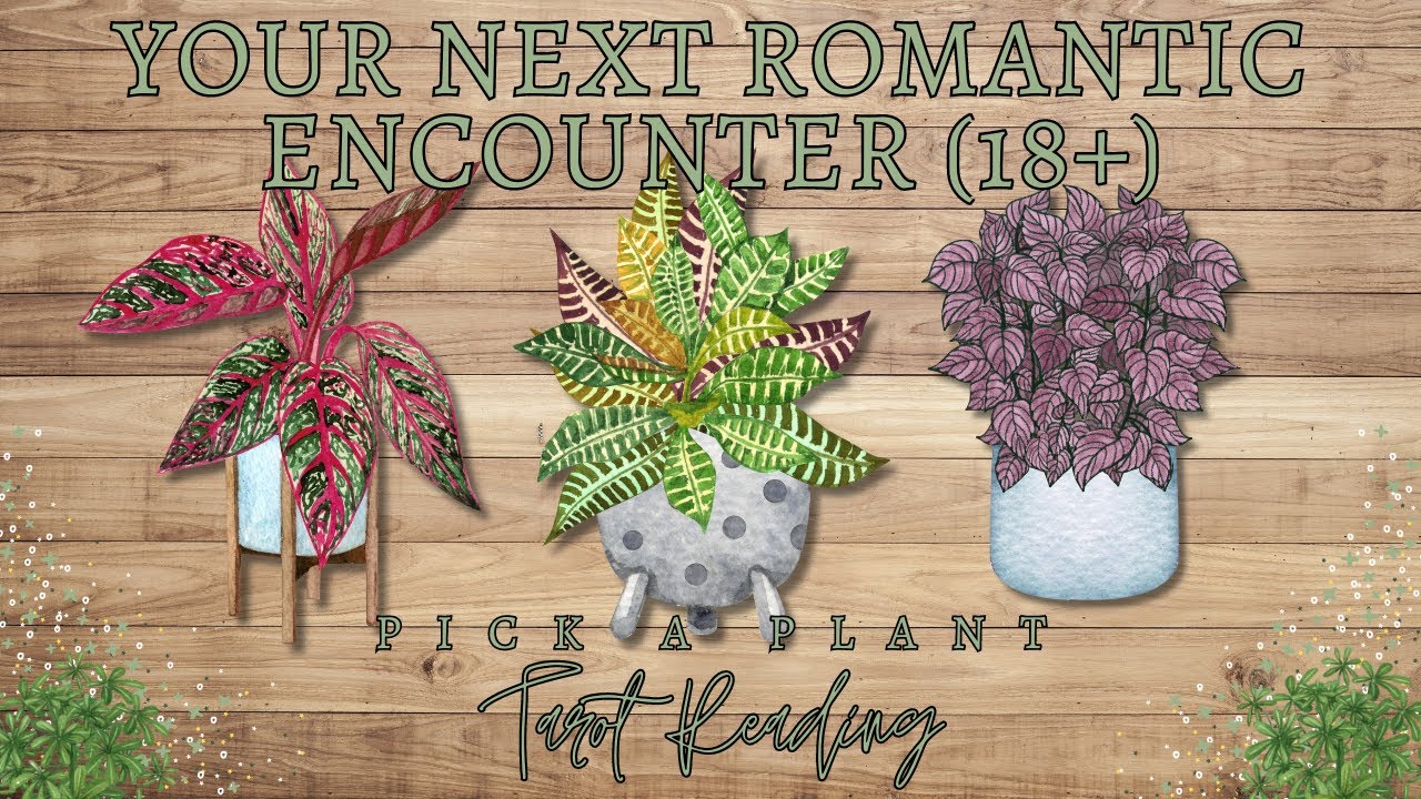 Your Next Romantic Encounter (18+) 🌹 Pick A Card Tarot Reading