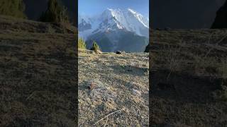 “Unreal Glacier Views & Hidden Mountains 😱🏔️”#ExtremeNature#NatureVibes#HiddenParadise#youtubeshorts