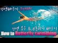 ??? ?? / how to butterfly stroke / ?????? /?? ????/????/????