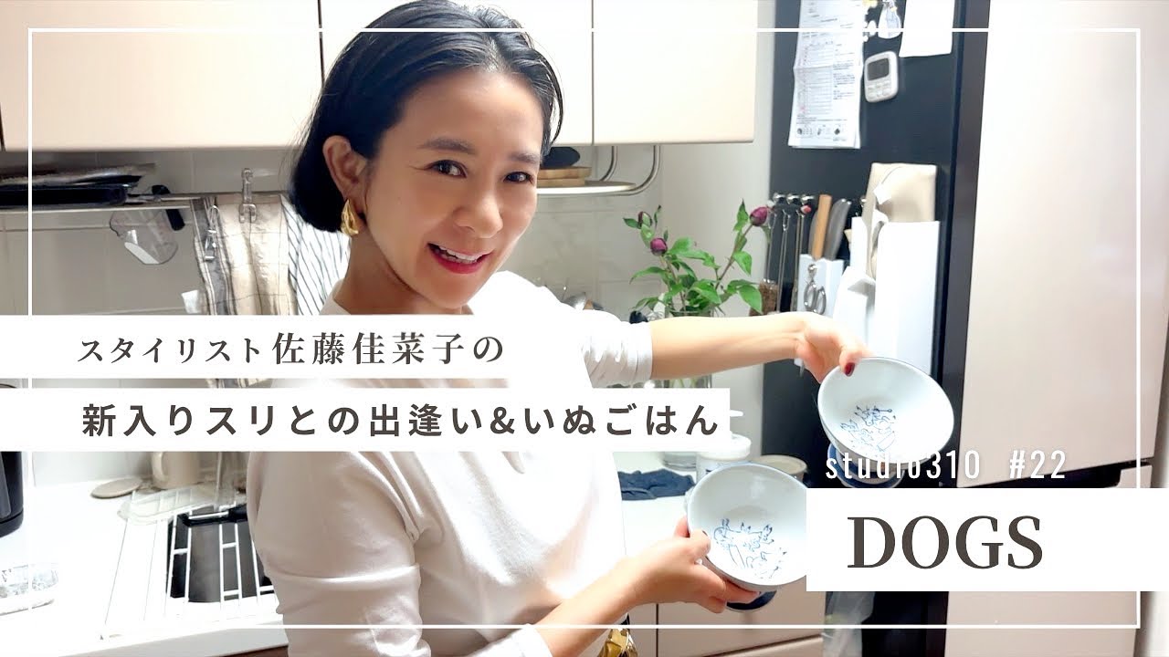 【犬ごはん】手作り健康レシピ｜もはや飼育員並み🐶🥦