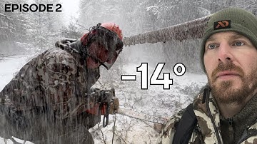 Winter Log Cabin Build on Off-Grid Homestead |EP2|