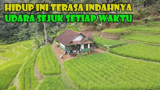 Hamparan Sawah Yang Hijau Begitu Menggoda, Selanjutnya Terserah Anda. Mau Numpang Menginap...?