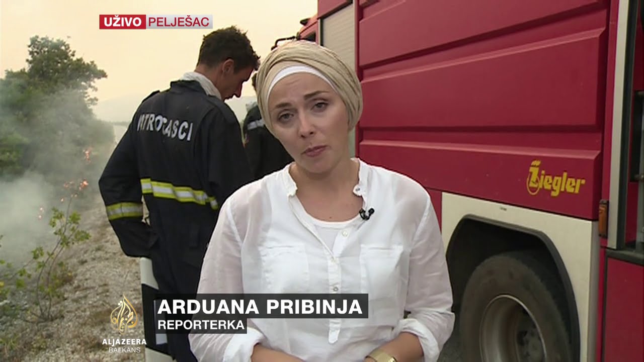 Pribinja o borbama sa požarima na Pelješcu