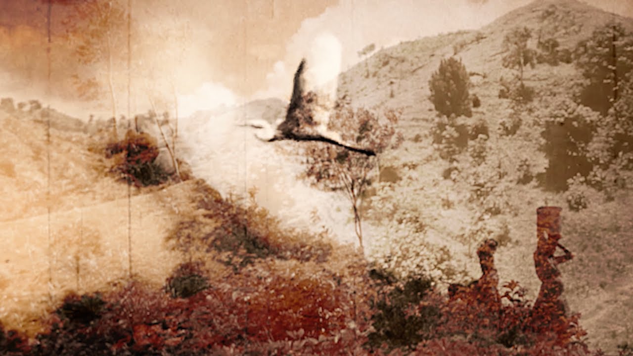 Wati Watia Zorey Band - Evariste Siyèd'Ion (Official Video)