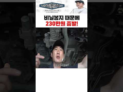 <strong>비닐봉지</strong> 대참사! 그냥 지나치지 마세요! #shorts