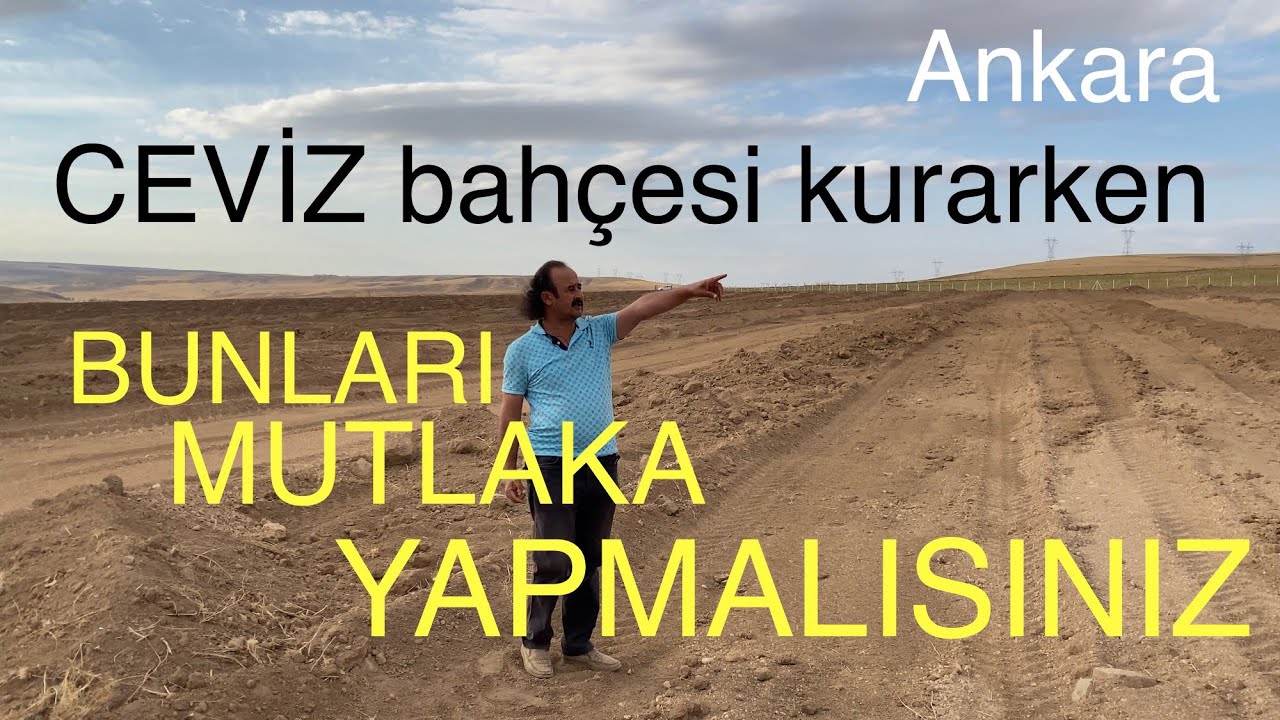 CEVİZ BAHÇESİ KURARKEN MUTLAKA BUNLARI YAPIN. Ankara Balâ . Ceviz Adam Ahmet